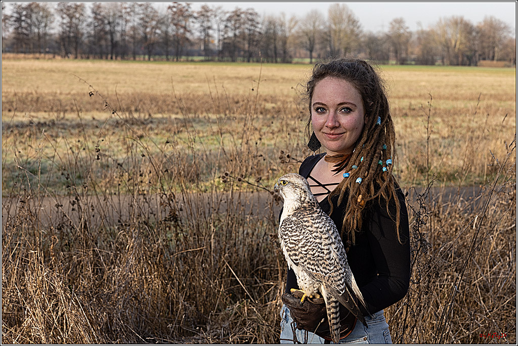 Cheyenne-Halbblut Hunting Wolf in der Falknerei Pierre Schmidt; Gymnich, 09.02.2023